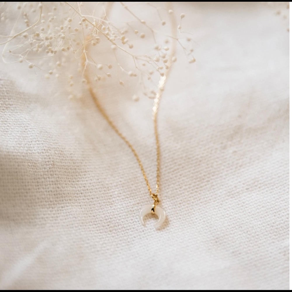 Tiny Horn Mother of Pearl Necklace